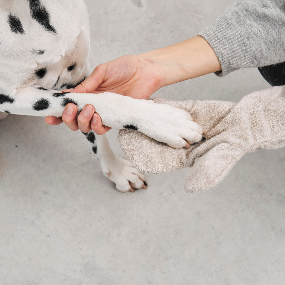 MiaCara Guanto Dog Grooming Glove