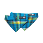 blue and yellow