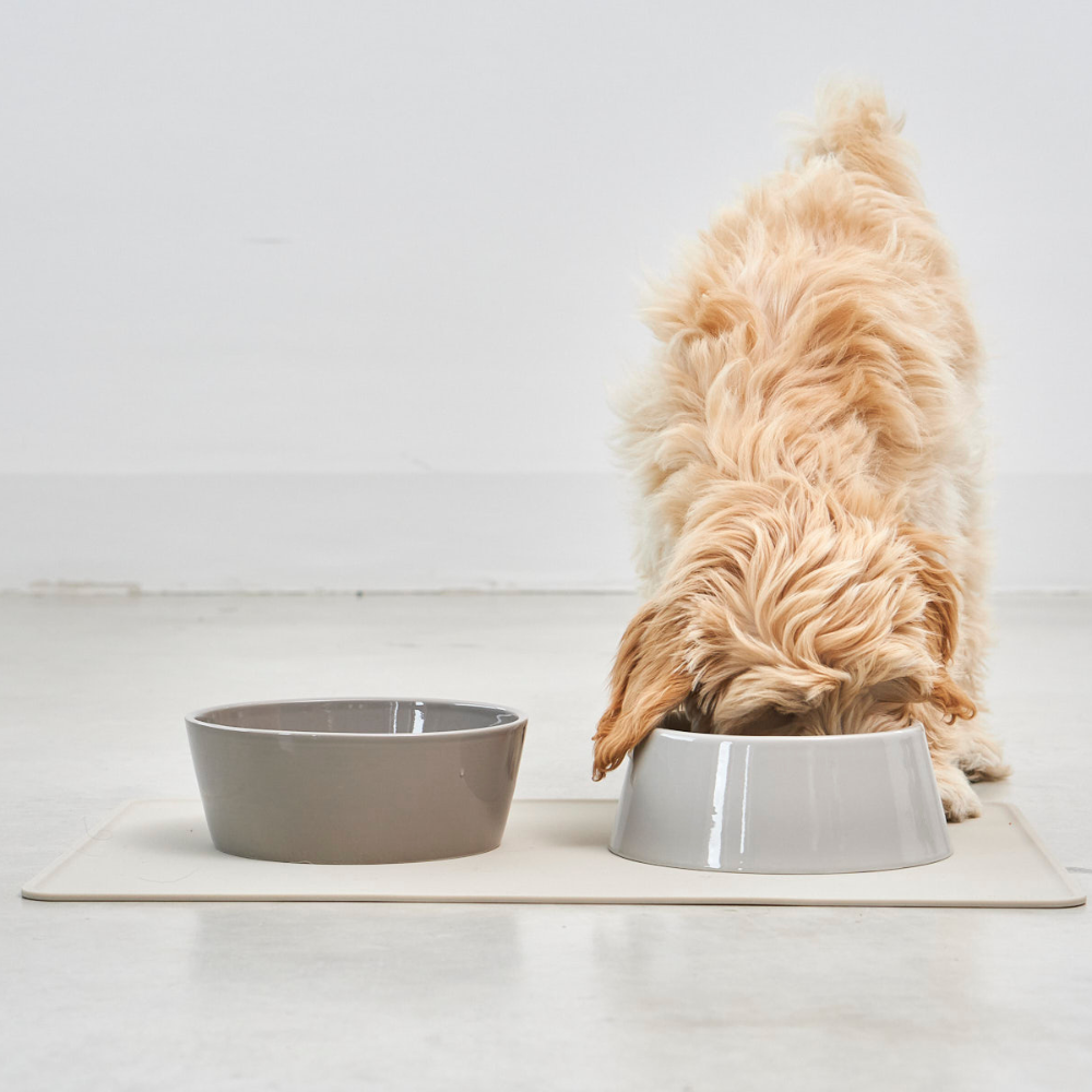 MiaCara Doppio Nougat Dog Bowl