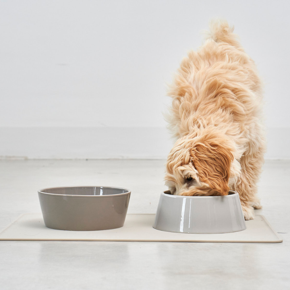 MiaCara Doppio Nougat Dog Bowl