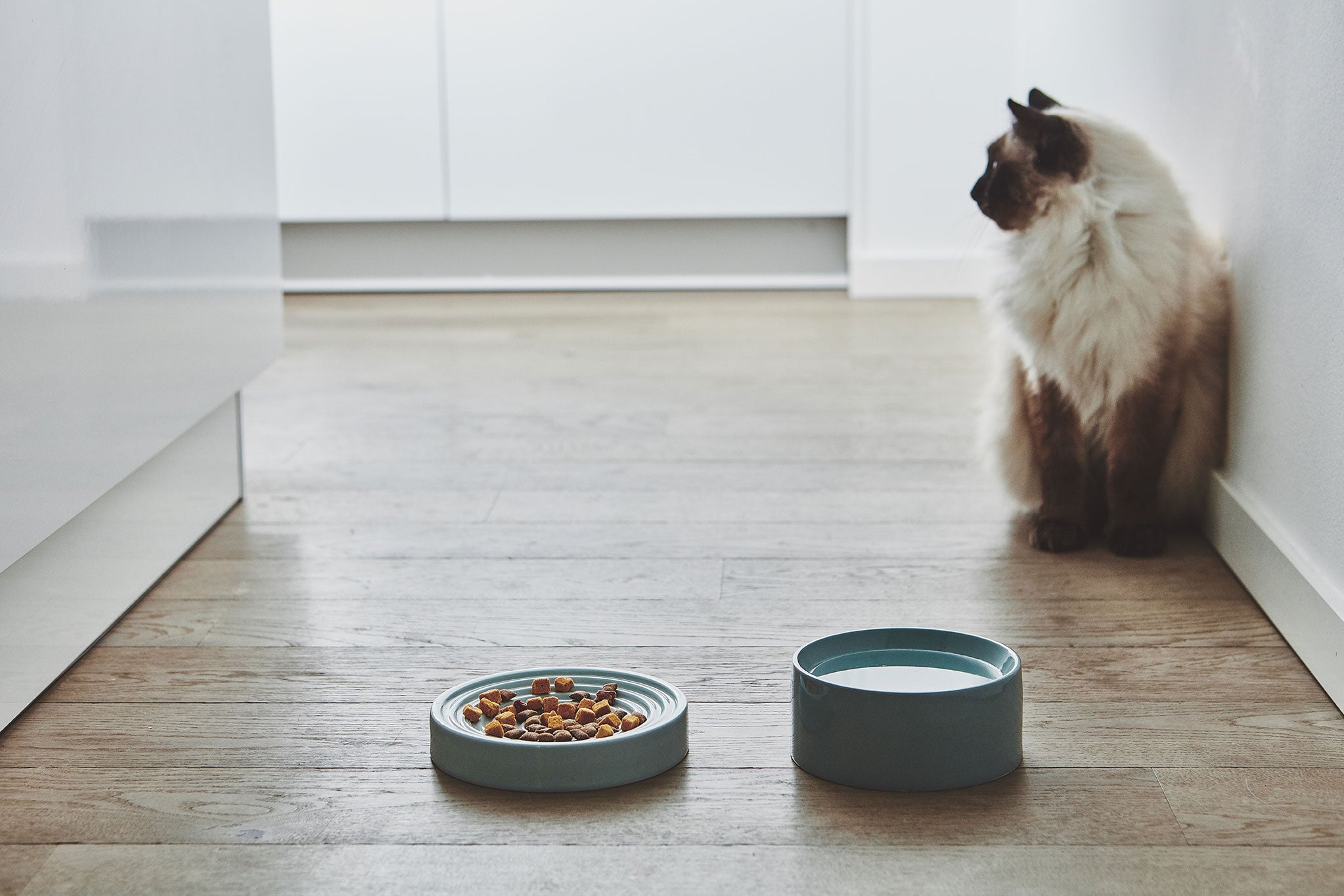 MiaCara Fresco Cat Bowl