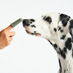 MiaCara Dito Dog Toothbrush