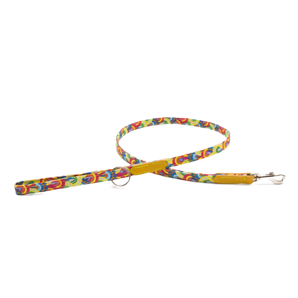 rainbow skinny lead 