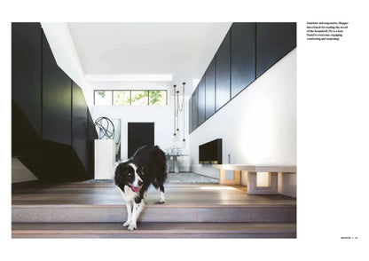 Resident Dog Vol 1