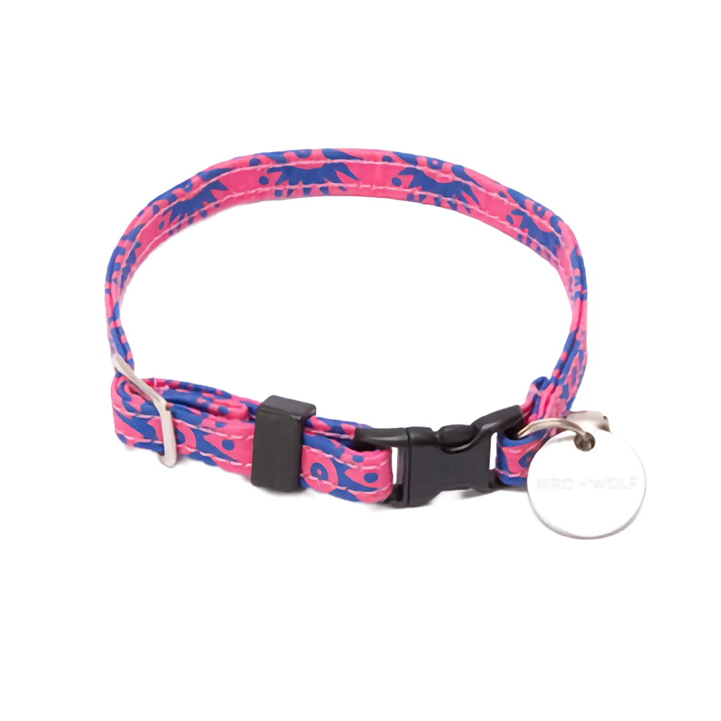 blue and pink cat collar 