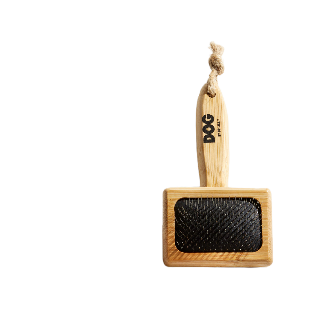 Slicker Dog Brush