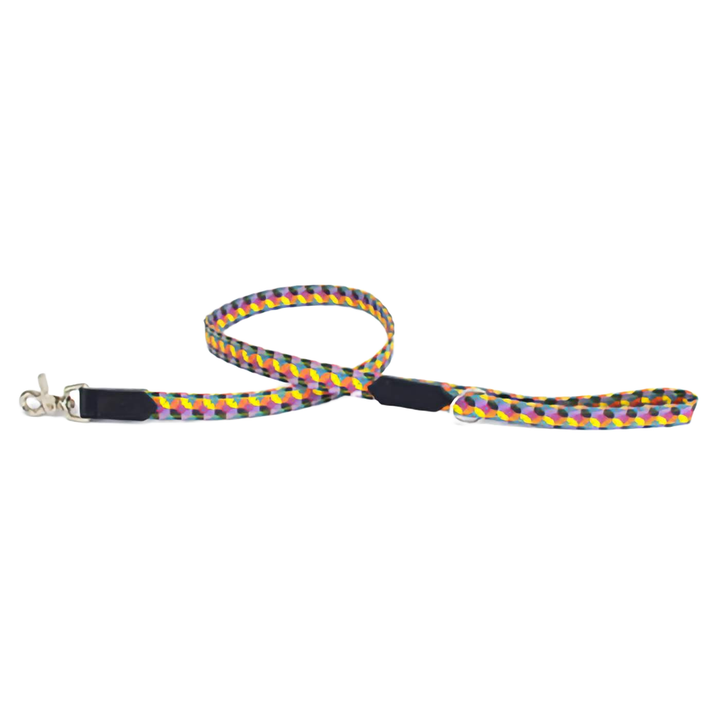 starry night dog lead