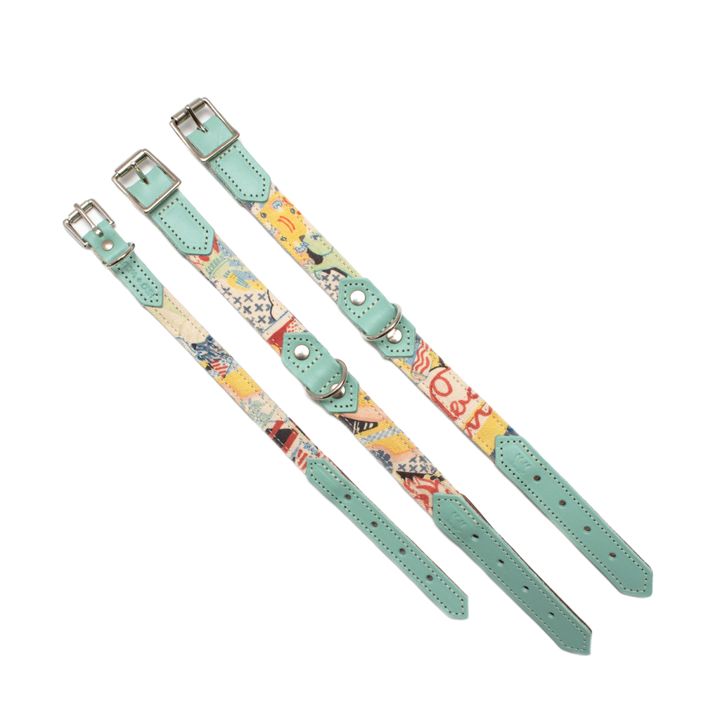 Turquoise and New York Design Dog Collar