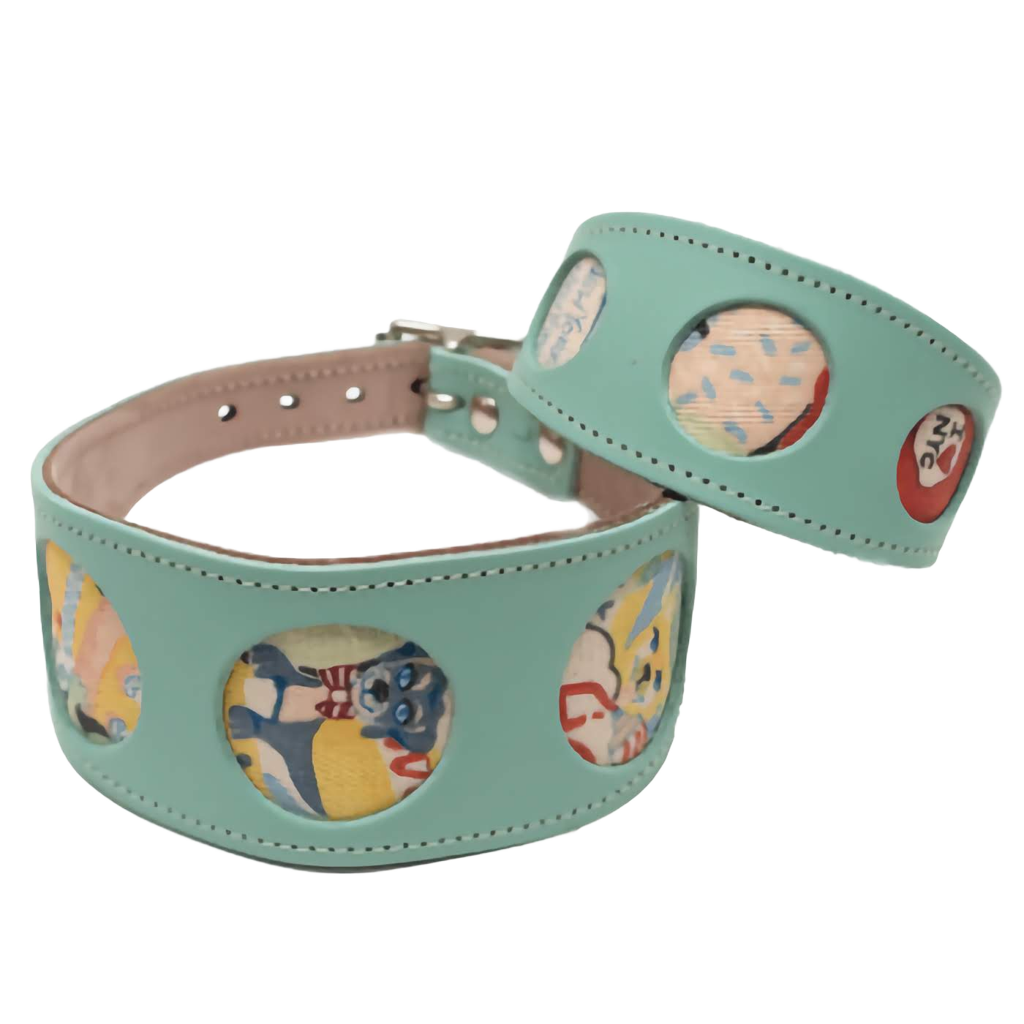 Turquoise and New York Print Dog Collar 