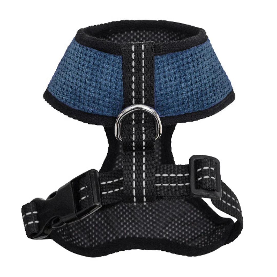 Black and blue dog harness on a white background