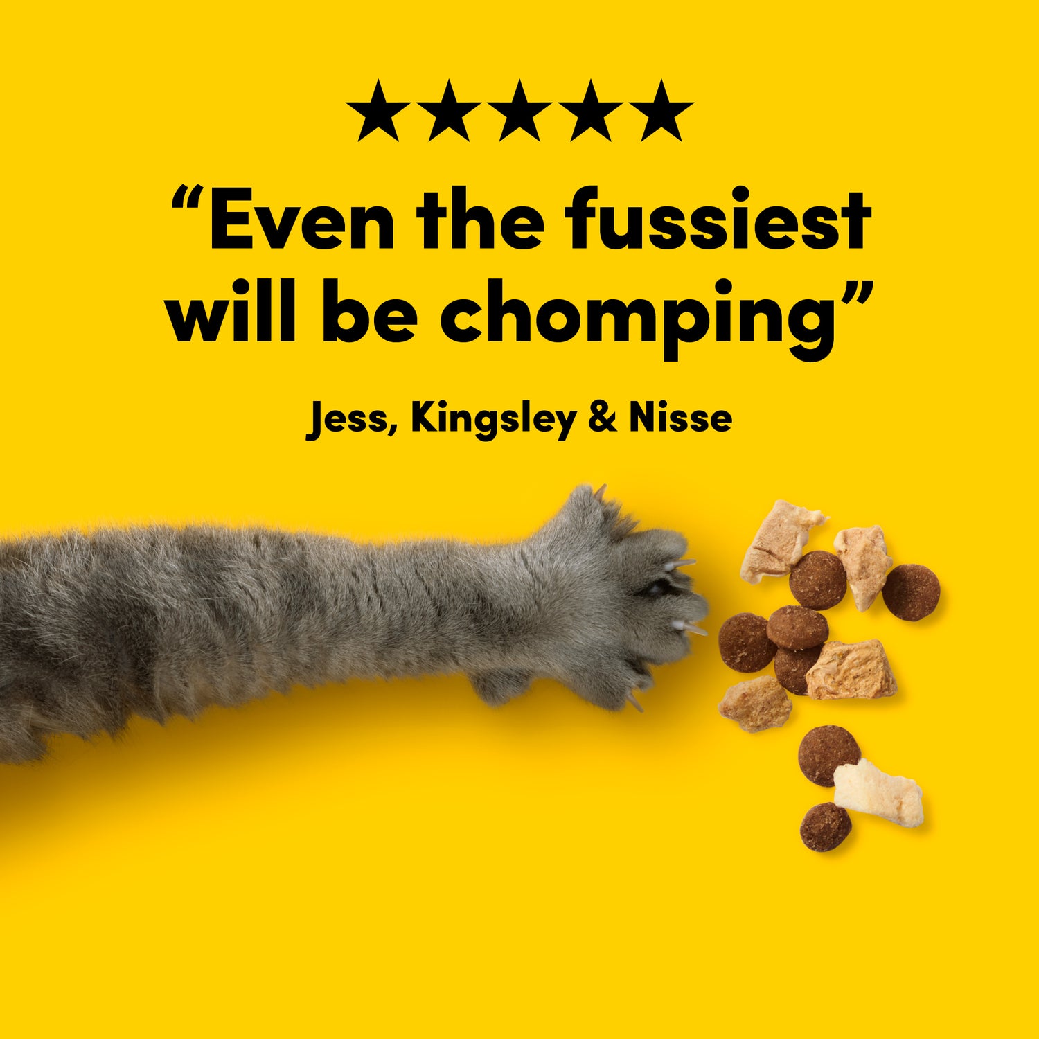 Animals Like Us Raw Mix50 - Cage-Free Chicken Cat Food