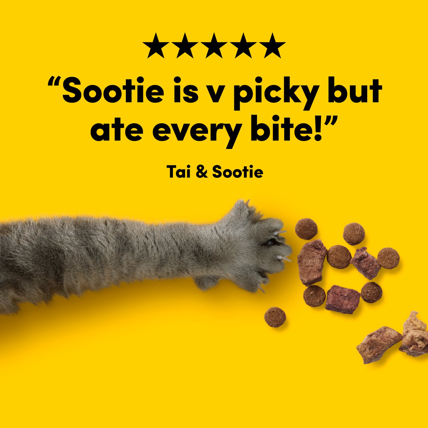 Animals Like Us Raw Mix50 - Ocean Fish and Cage-Free Chicken Cat Food