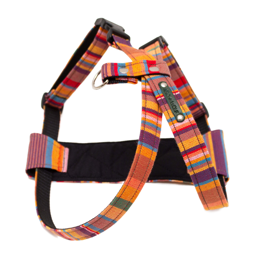 rainbow dog harness