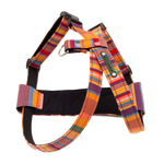 rainbow dog harness