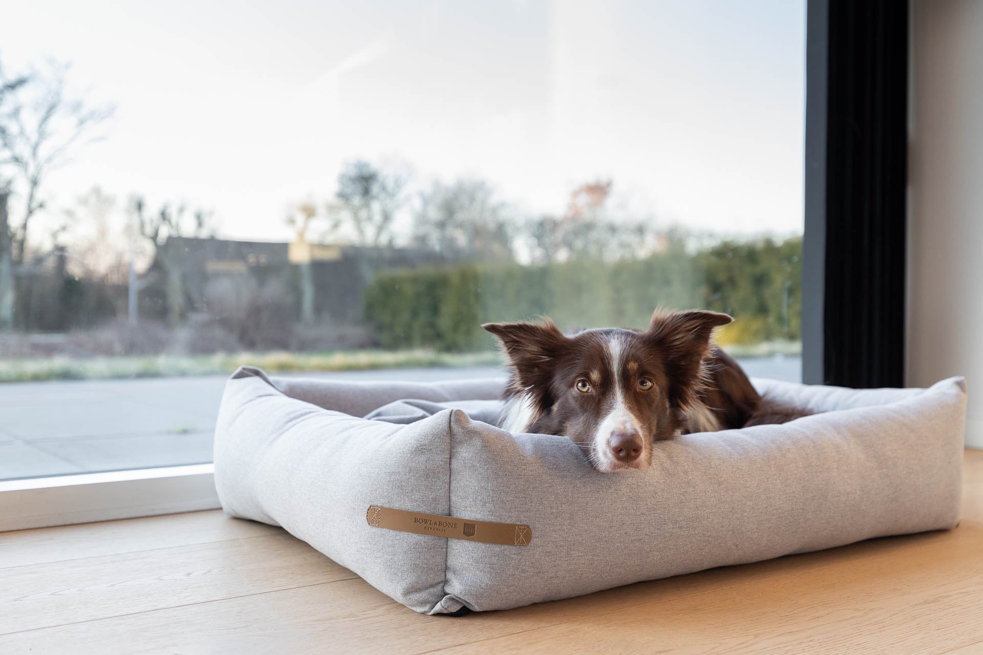 Luxury dog bed