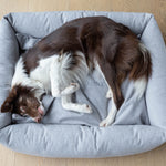 Luxury dog bed