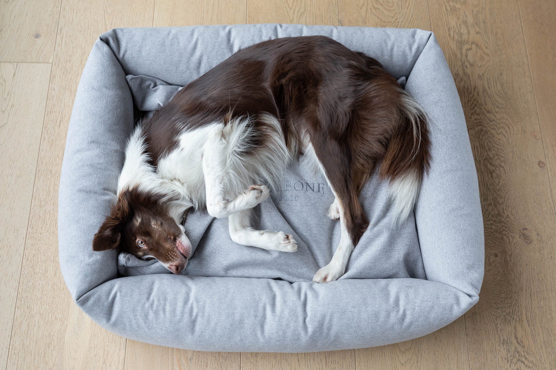 Luxury dog bed