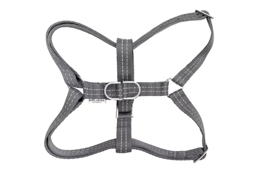 Gray dog harness on a white background