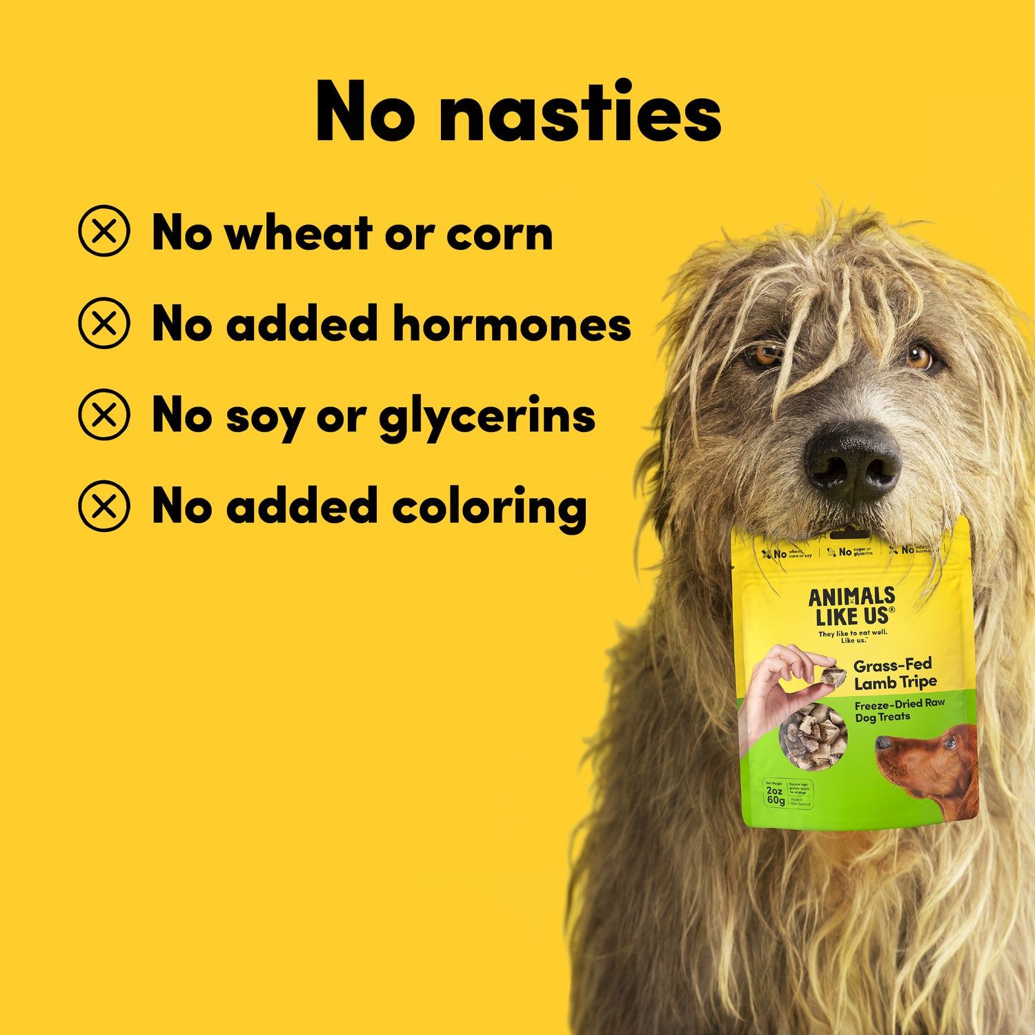 Animals Like Us Grass-Fed Lamb Tripe Freeze-Dried Raw Dog Treats