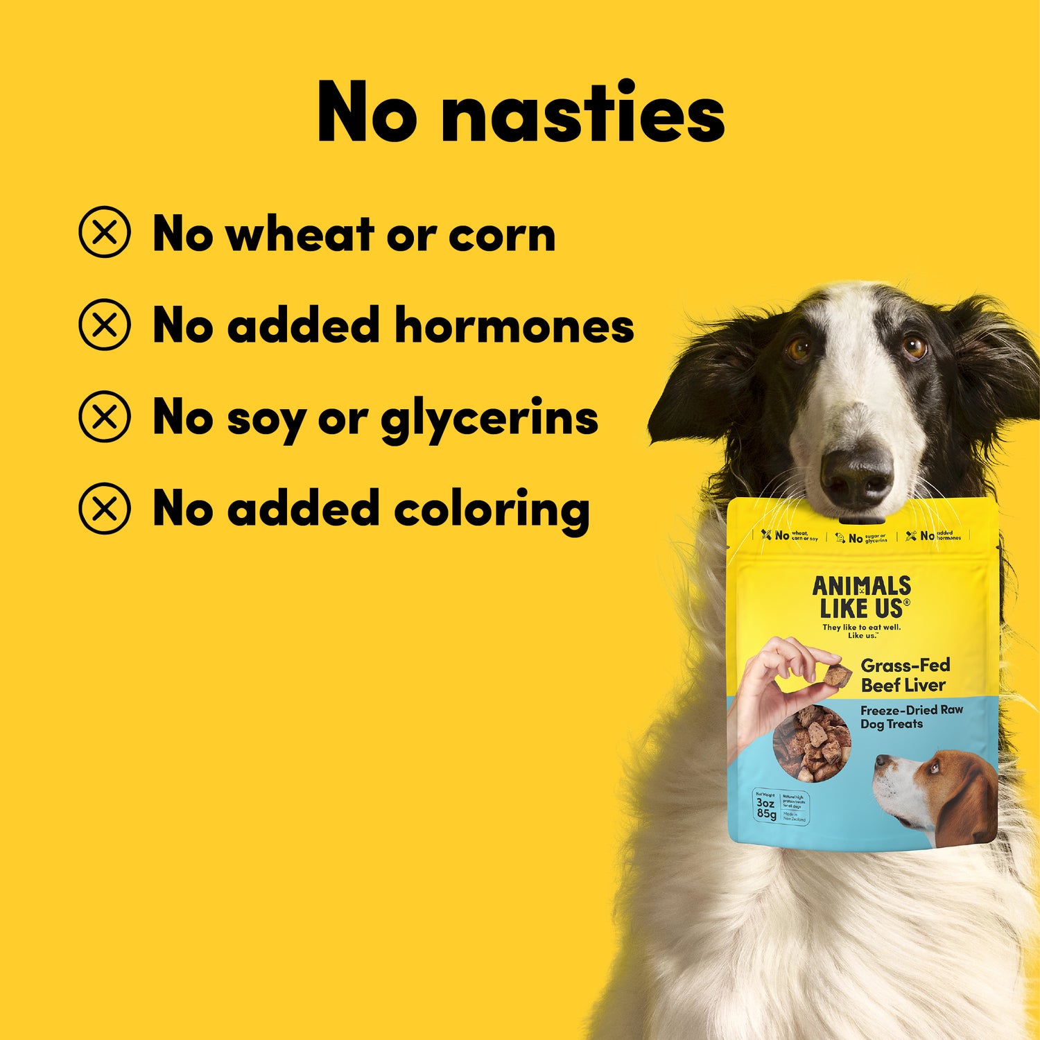 Animals Like Us Freeze-Dried Raw Dog Treats -Grass-Fed Beef Liver