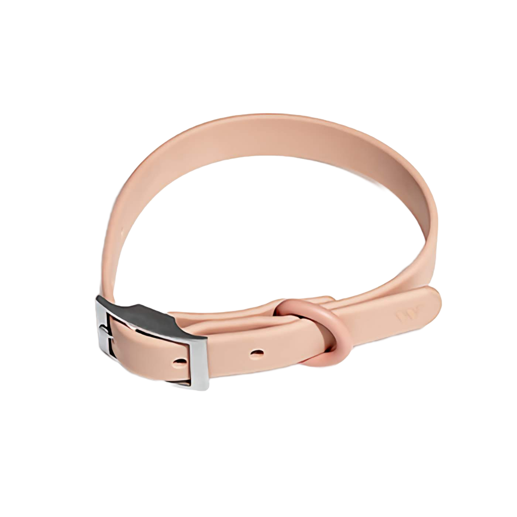 dog collar - pink