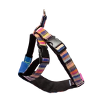 mutlicolour stripe dog harness 