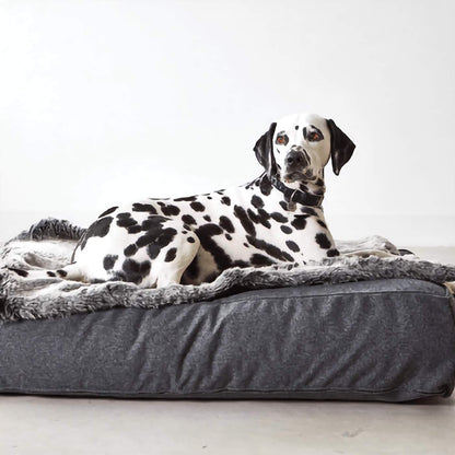 Felpa Dog Blanket