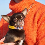 Rainbow Stripe Dog Collar