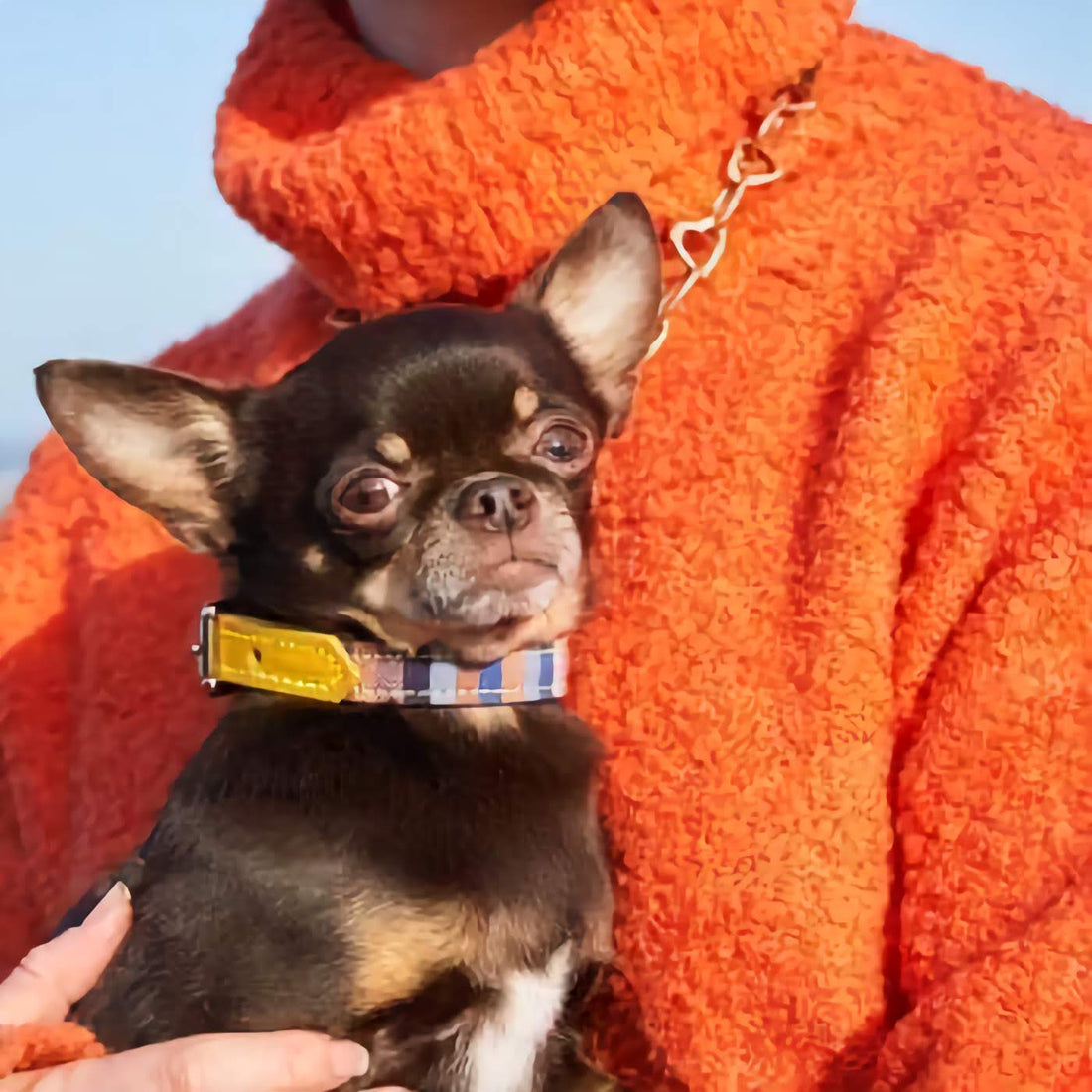 Marine Kikoy Dog Collar