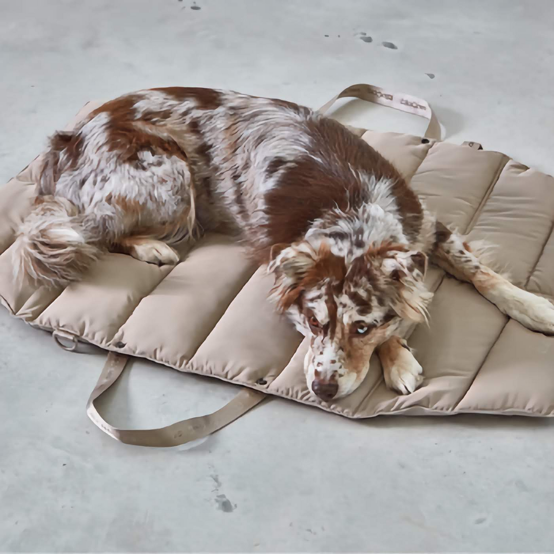 Strada Dog Travel Bed - Greige