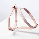 Dog Harness
