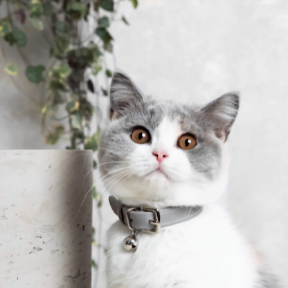 Heritage - Mist Cat Collar