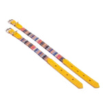 Rainbow Stripe Dog Collar