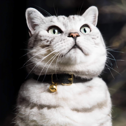 Caviar - Beluga Cat Collar