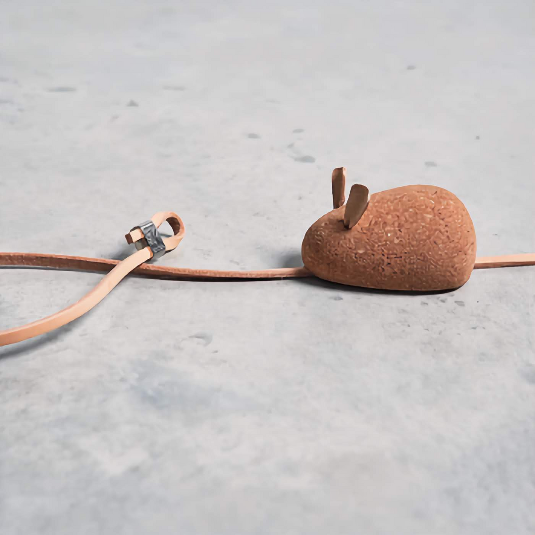 Coda Cat Toy