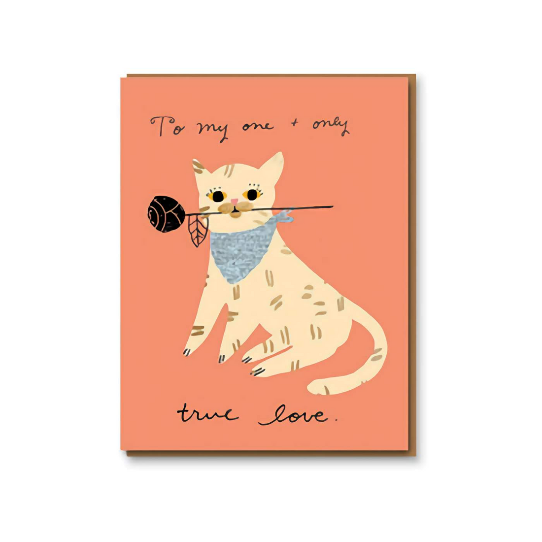 Romance Cat