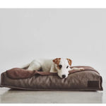 Dog blanket