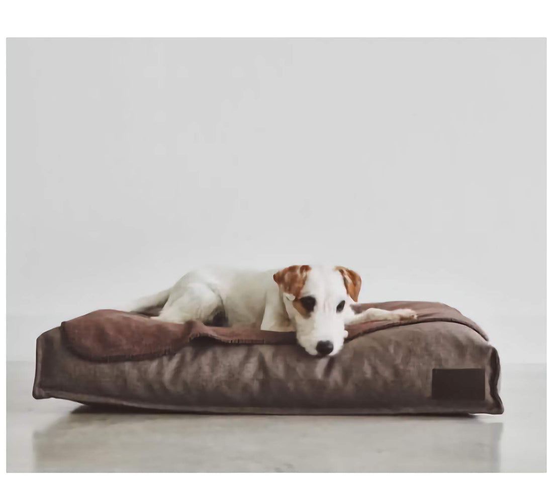 Unica Fleece Dog Blanket - Mocha