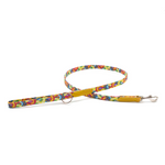 A multicolored floral print pet leash with a metallic clasp and a skinny strap, set against a white background.