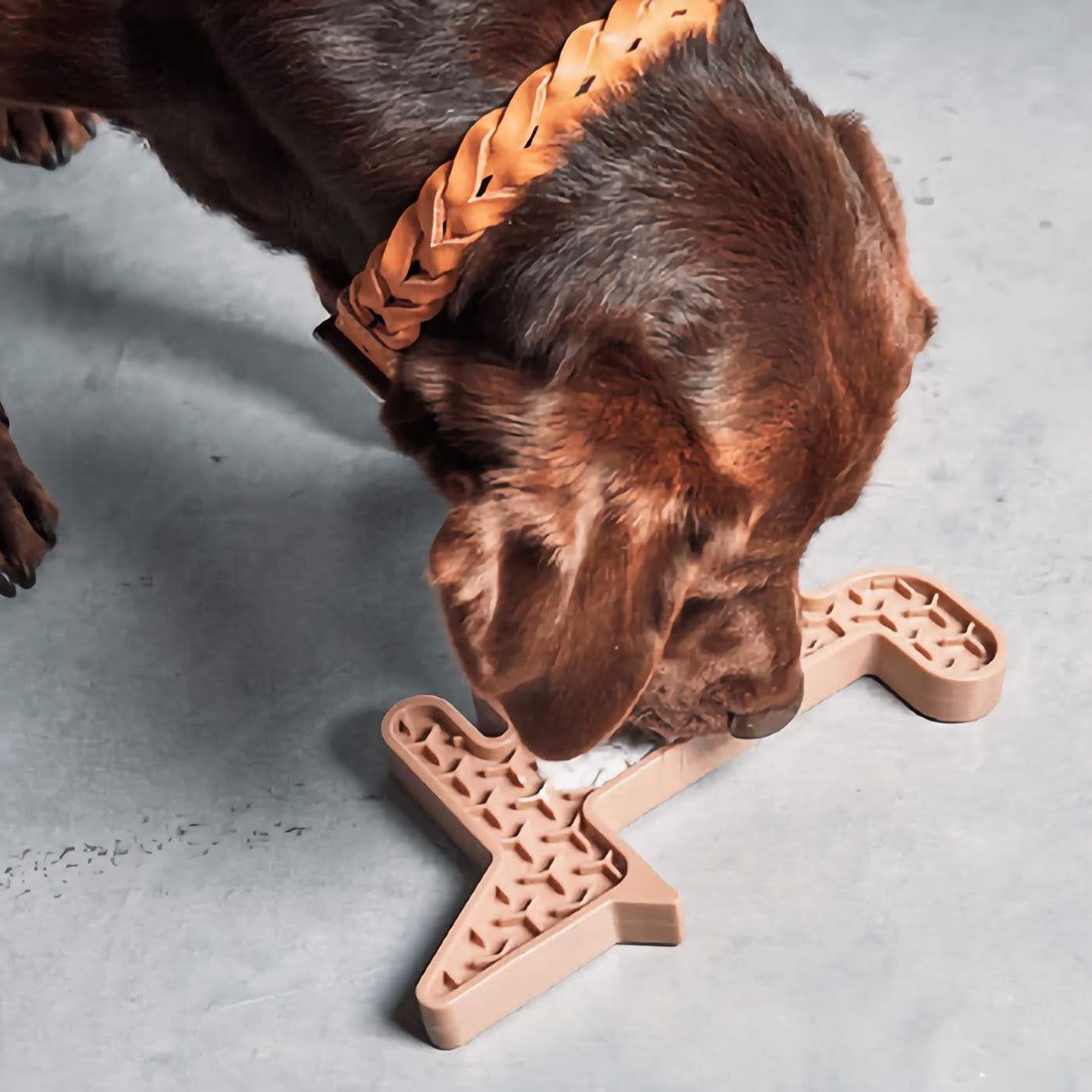 Volpe Activity Dog Toy - Slate
