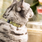 Rococo Cat Collar
