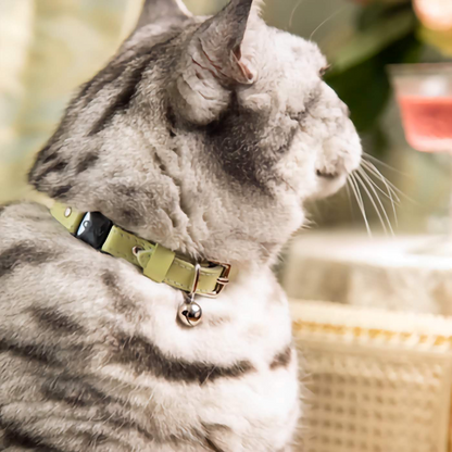 Rococo - Pistachio Cat Collar