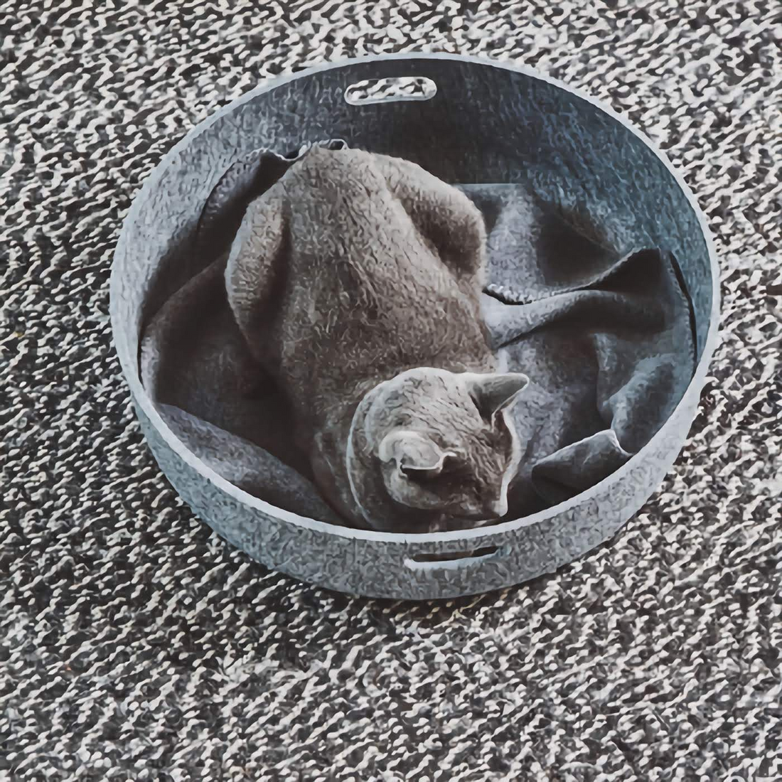 Cesto Cat Basket - Concrete