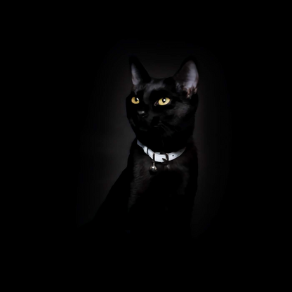 Lumino Lux - Metallic Silver Reflective Cat Collar