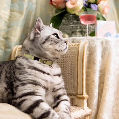 Rococo - Pistachio Cat Collar