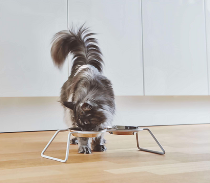 Replacement Bowl - Cat Feeder