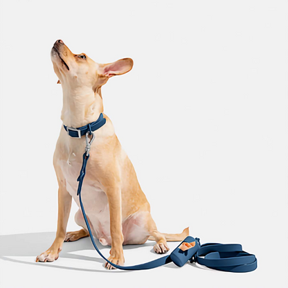 Dog Lead - Navy