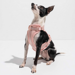 pink accessory 