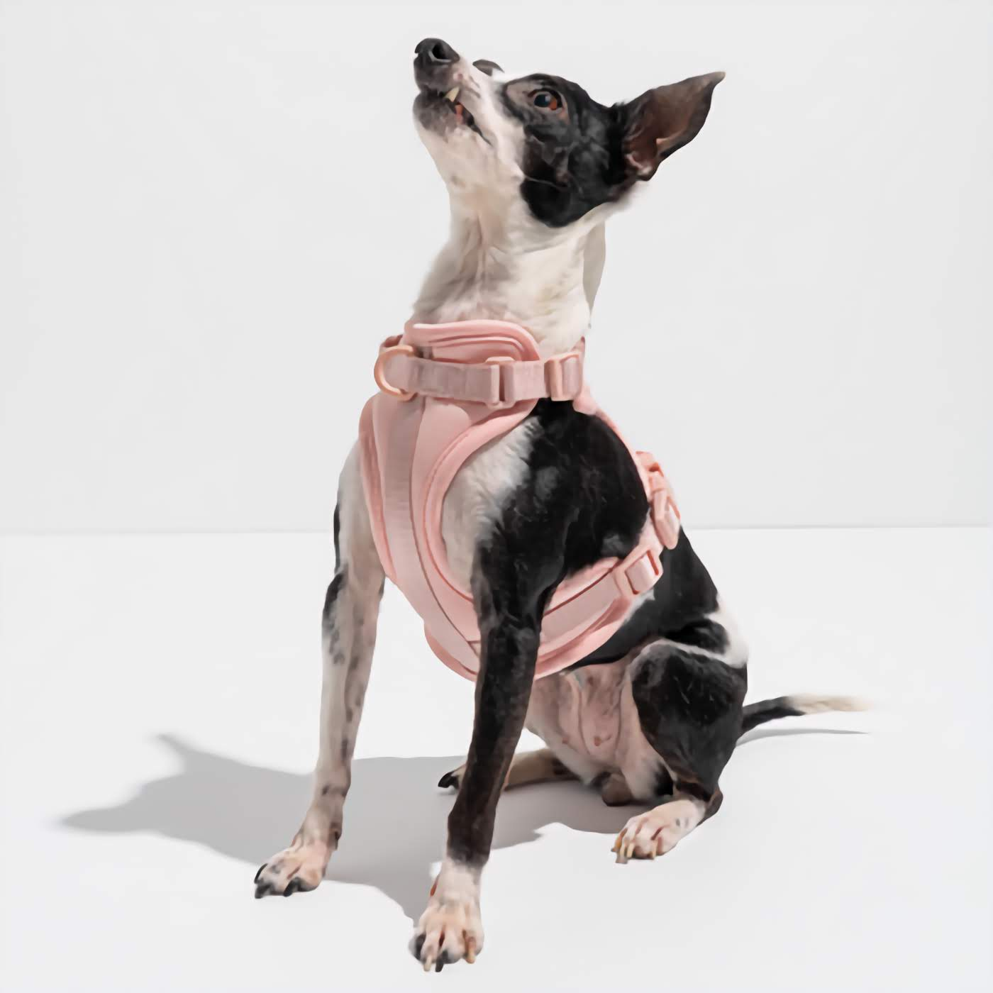 Dog Harness - Blush