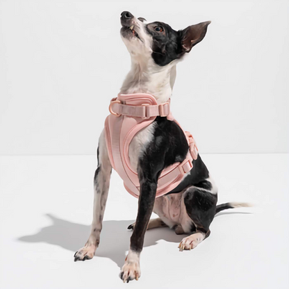 Dog Harness - Blush